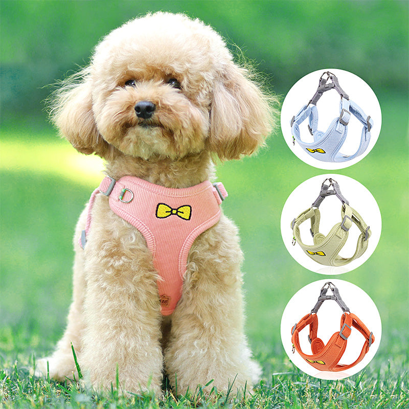 Dog wearing the pink bow harness outdoors