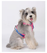 Rose Pink harness — on a dog