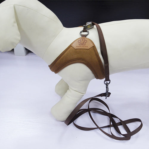 Classic Everyday Dog Harness & Leash Set