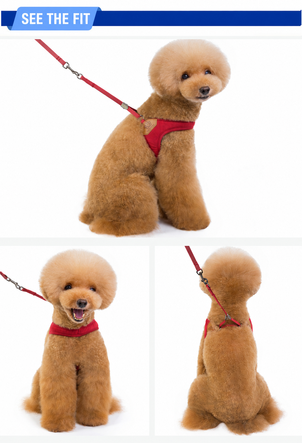 Burgundy harness worn by a dog in three views