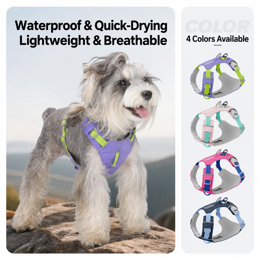 Dog wearing a purple and lime-green harness outdoors, beside examples of other colour combinations