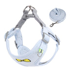 Soft Bow Dog Harness & Leash Set