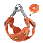 Soft Bow Dog Harness & Leash Set