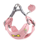 Soft Bow Dog Harness & Leash Set