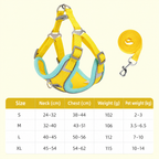 Color-Pop Foam Handle Dog Leash & Harness Sets