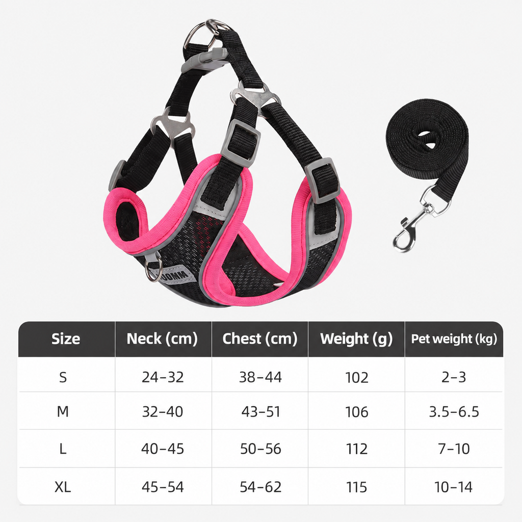 Color-Pop Foam Handle Dog Leash & Harness Sets