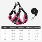 Color-Pop Foam Handle Dog Leash & Harness Sets