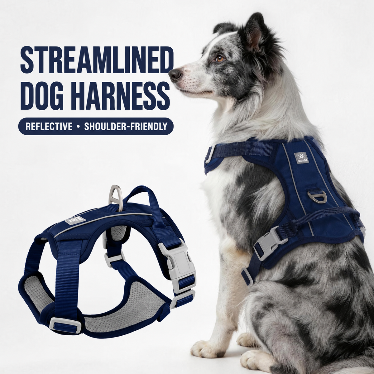 Reflective Everyday Dog Harness