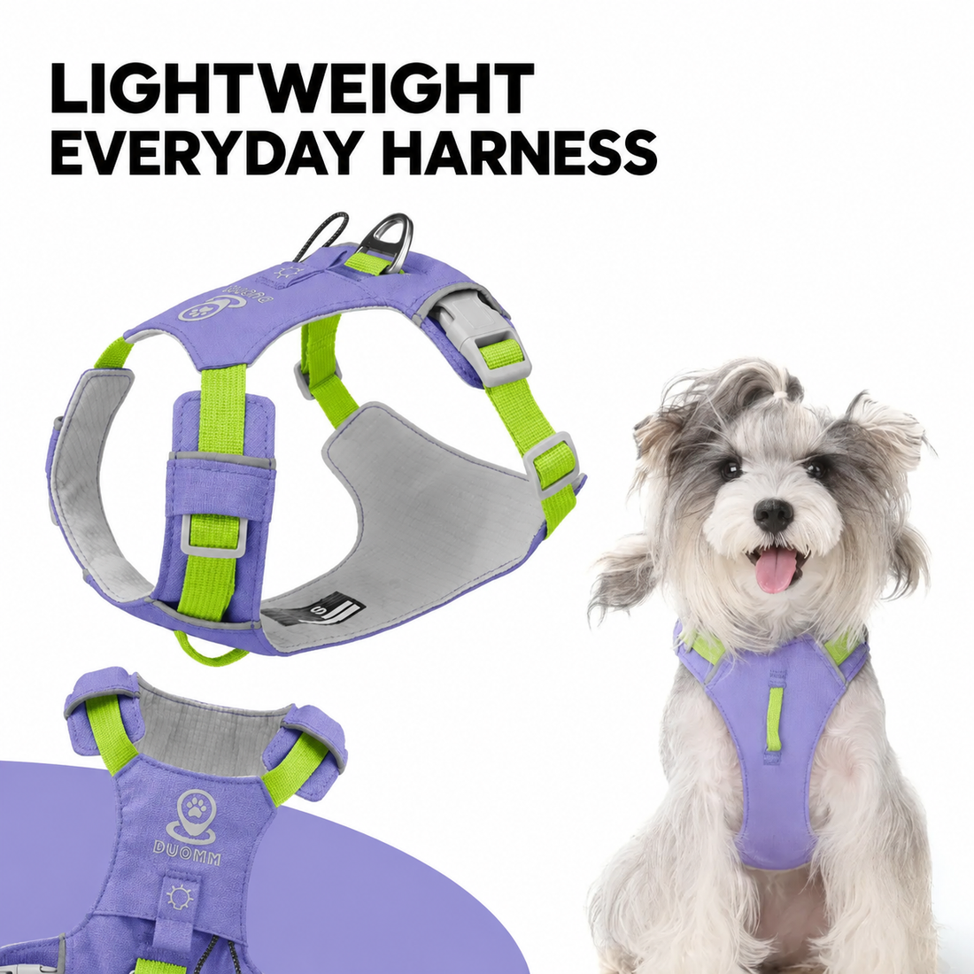 Lightweight dog harness in Purple with lime trim