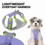 Purple harness — overview